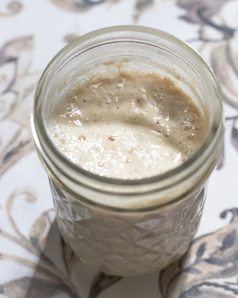 Homemade Wild Gluten Free Sourdough Starter