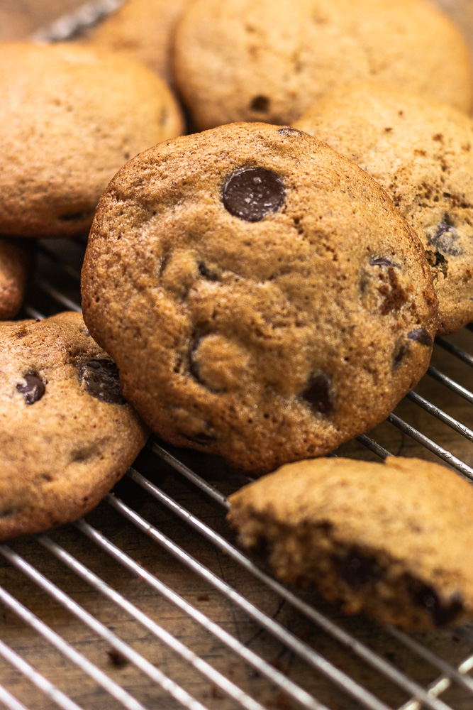 Gluten Free Chocolate Chip Tahini Cookies